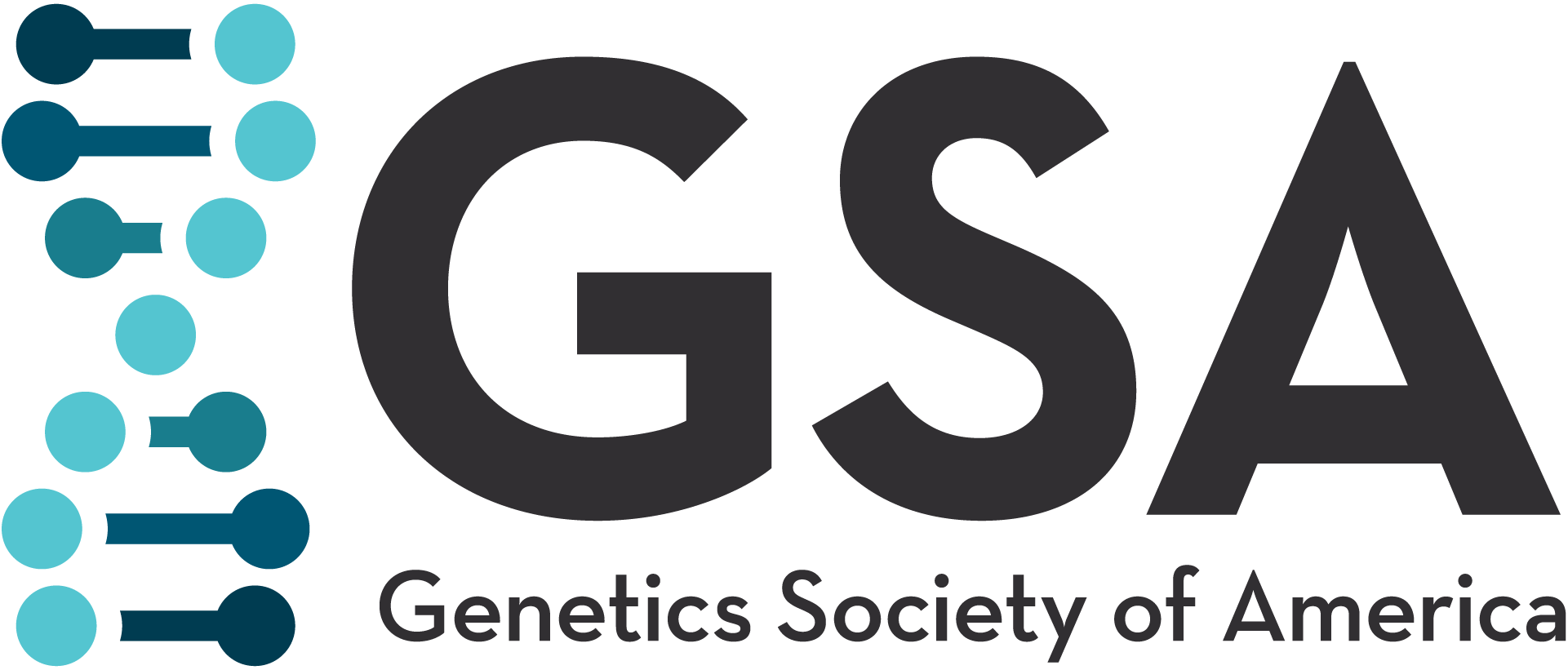 GSA XL Logo